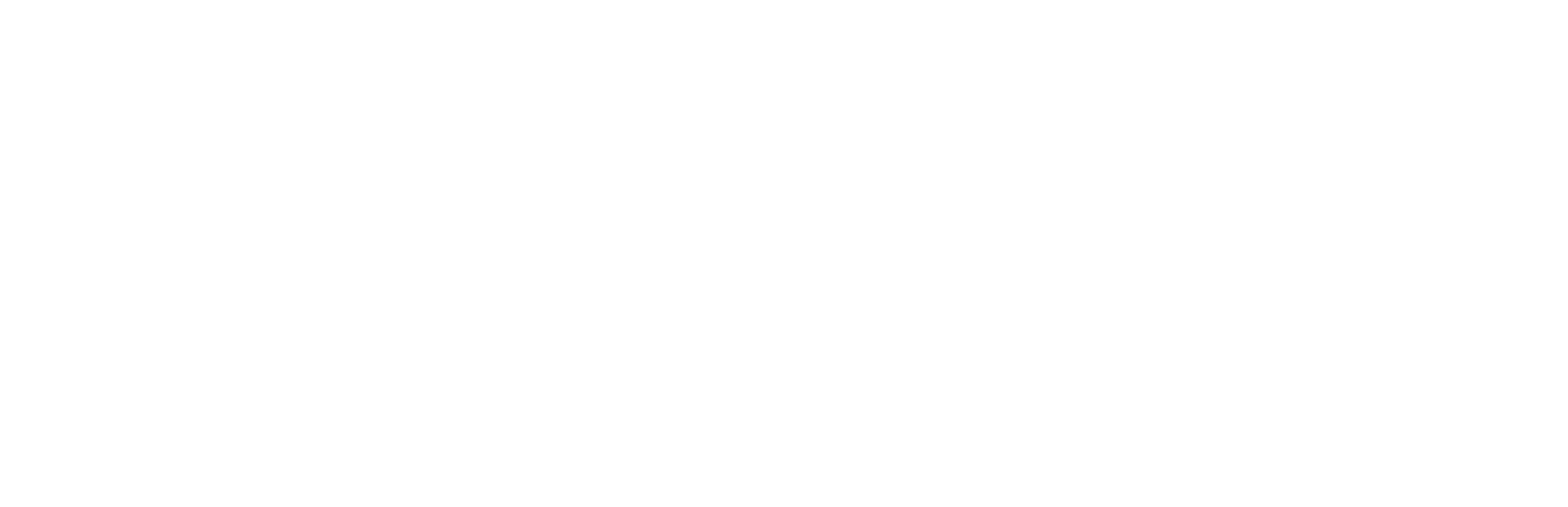 TeamT5